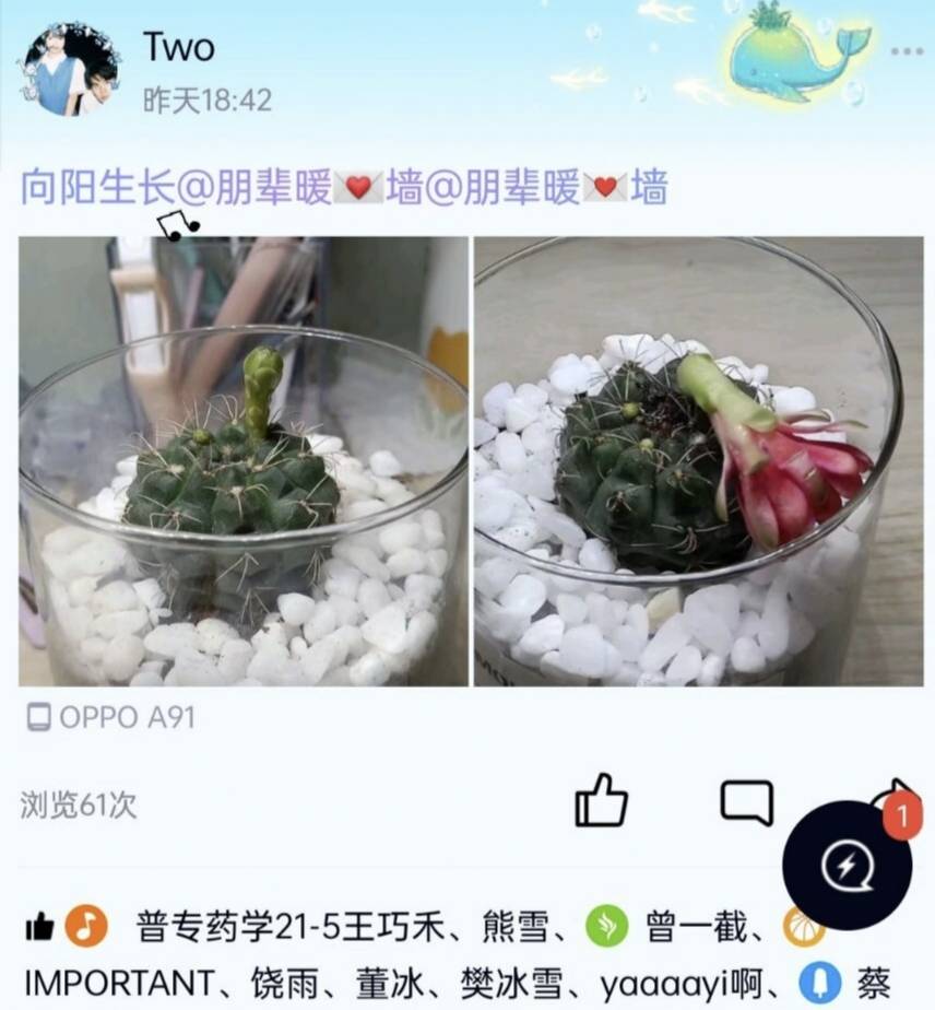 QQ图片20220523132656.jpg